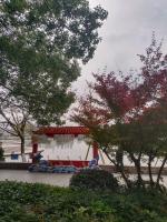 【云天诗馆*古诗词】西风晕铅华，恍似瑶初宴