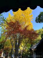 文史典故＊七言古體詩賦＊《成語典故＊畫餅充饑》