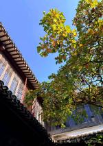 文史典故＊七言古體詩賦＊《成語典故＊囫圇吞棗》