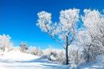 七绝·读雪（二首）文／刘国星