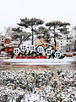 摄影欣赏  (5)《首雪掠影》作者 王庆芳  (山东)  编辑 制作 王树军  【都市头条胶东半岛文学社】