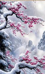 七绝 梅花/张庆彬（安徽）
