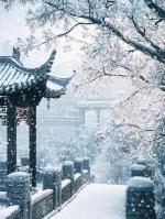 【荣耀中国】文学社·七言古风.候鸟南飞纪行(六)    杂吟(四首)文/苏 扬(吉林)