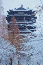 都市名家：泉城雪景赋  //  张智辉