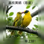 联机全球发布马洪武作品欣赏
