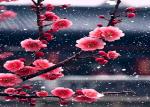 诗人郜振海先生【辘轳体·赞梅花】朗诵/静远