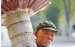 巜当一场雪回归  》(第36期)  编辑   制作  王树军 (山东)【都市头条胶东半岛文学社】