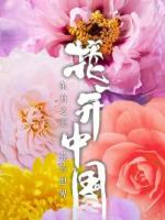 花开中国（二）文/李德强