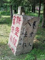 ［佳作欣赏］石苑十二吟(上.新韵)刁柏春