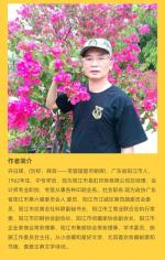 荐赏许日辉/七绝《乙巳仲冬时令有感偶得》十二首‖逸风文苑∽广州头条