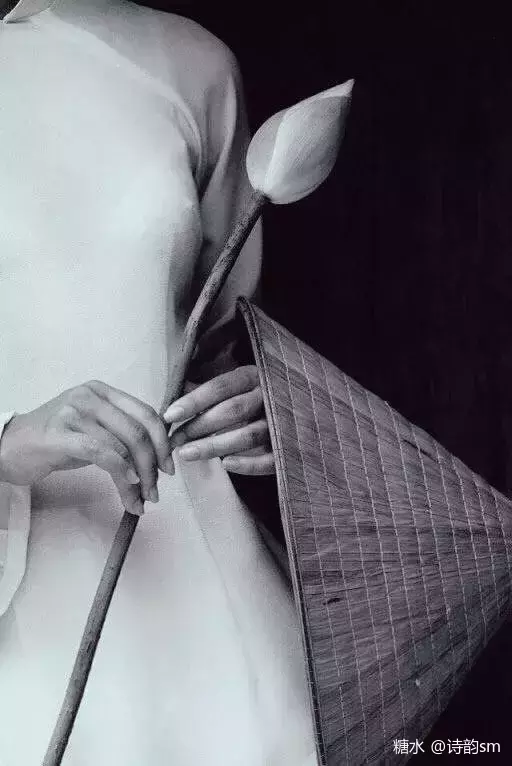 ［精华推荐］冬夜无声（同题）作者：村邻     梅山