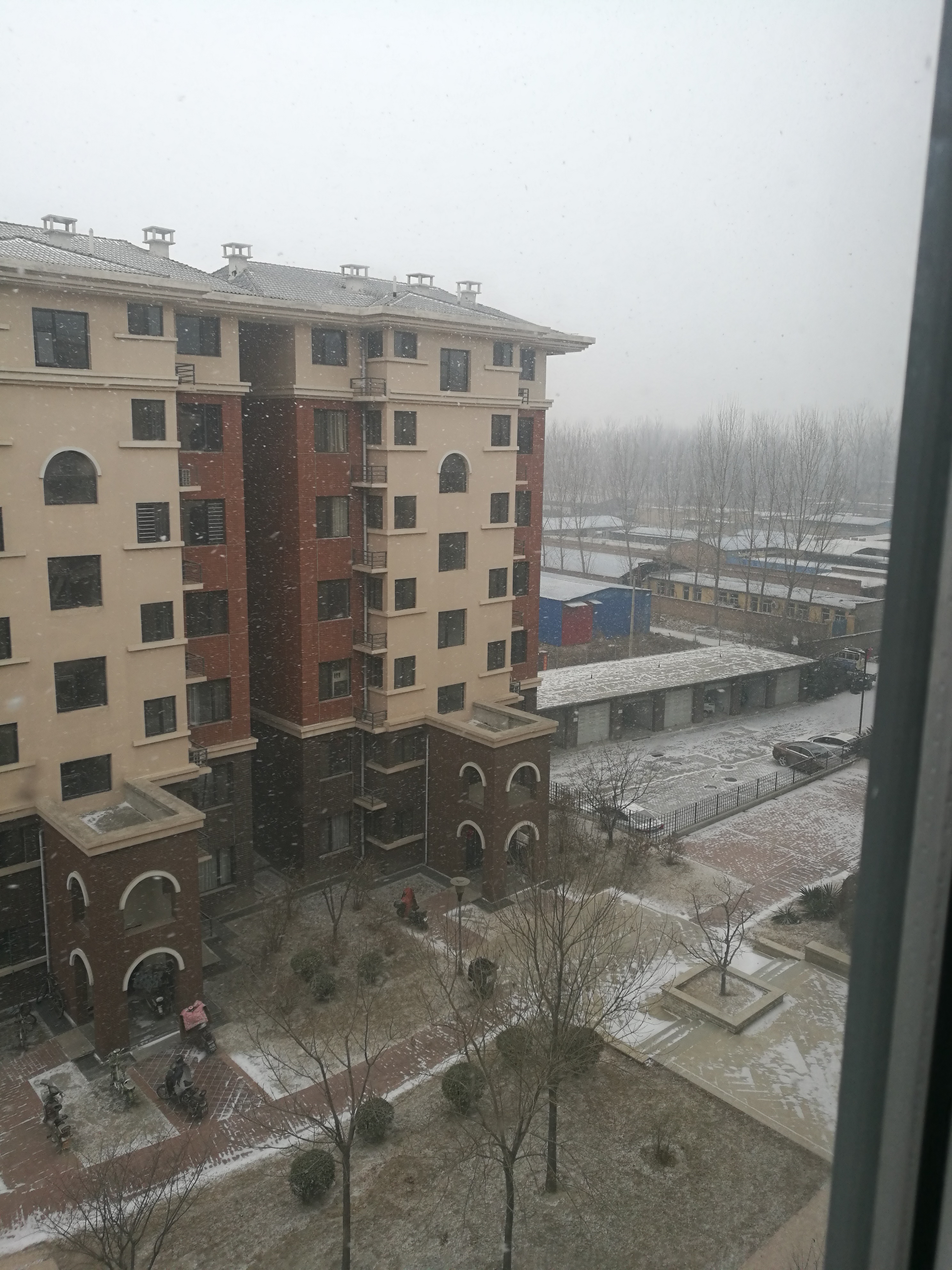 七绝 初八瑞雪 （新韵）