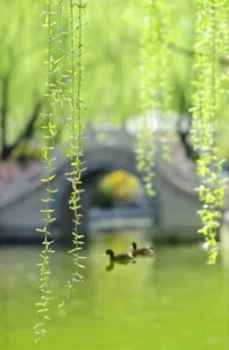 郜书珍的《喜春来•晚风》
