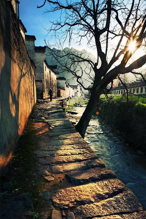胡同深处  文/金萍  