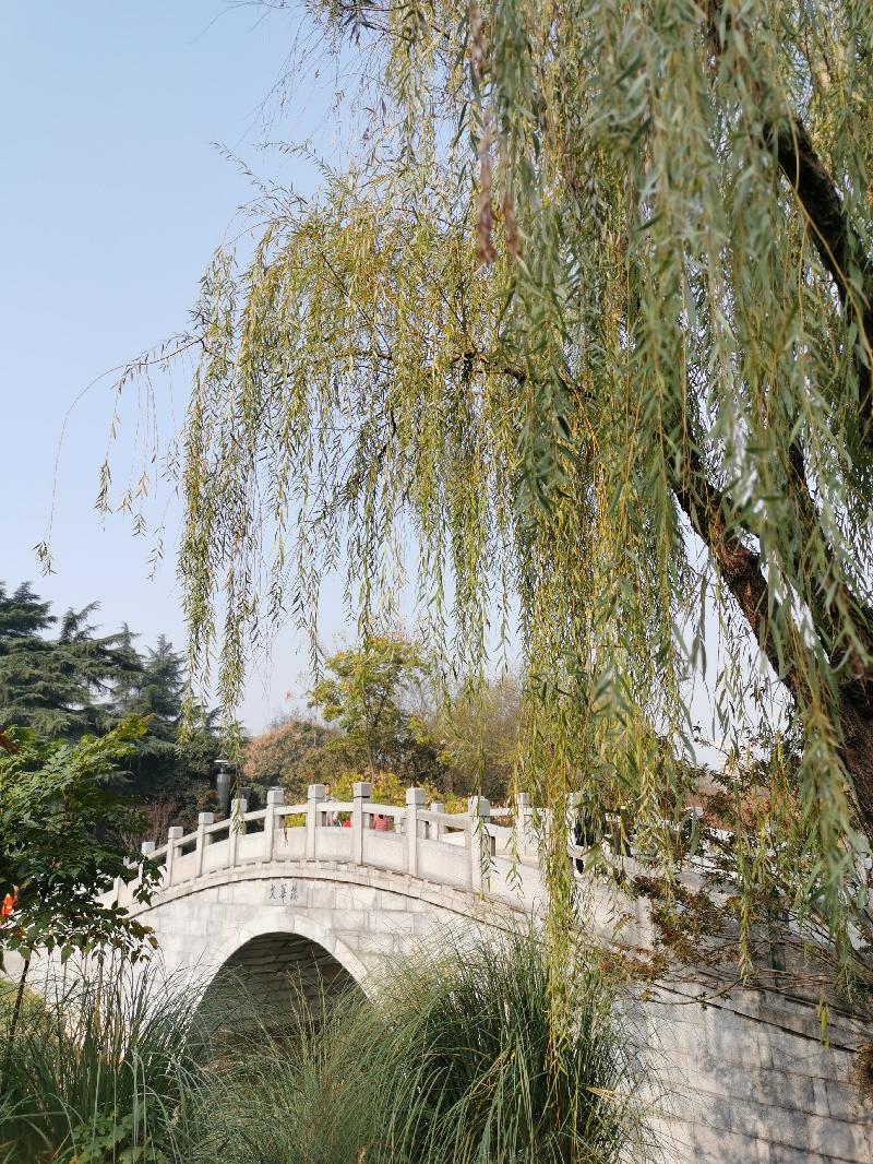 超然练习对句系列（之二百四十四）  