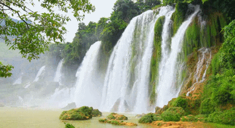 images/2/2024/05/ENAFO8N2JBAnzjbT5NEJjtK2A1nrfb.gif