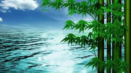 images/2/2024/05/bVAkGfAPwHFgAz8yWP1rkF8vPLfOPw.jpg