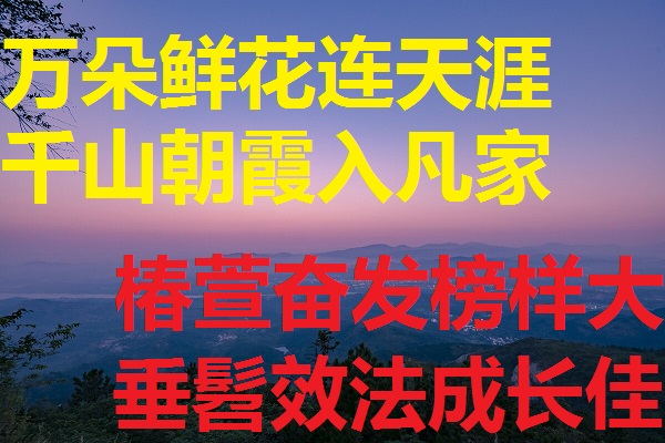 e4701cbba86ebe9d3910f6127b6b5382