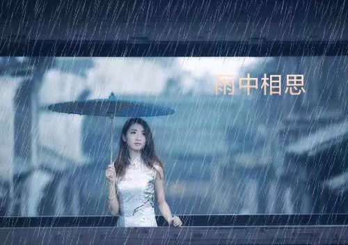 【花雨馨声】妙郡诵读《雨中相思》作者/静玲//制作/馨睿【第657期】