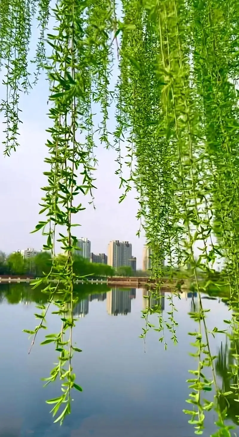 微信图片_20240620085428