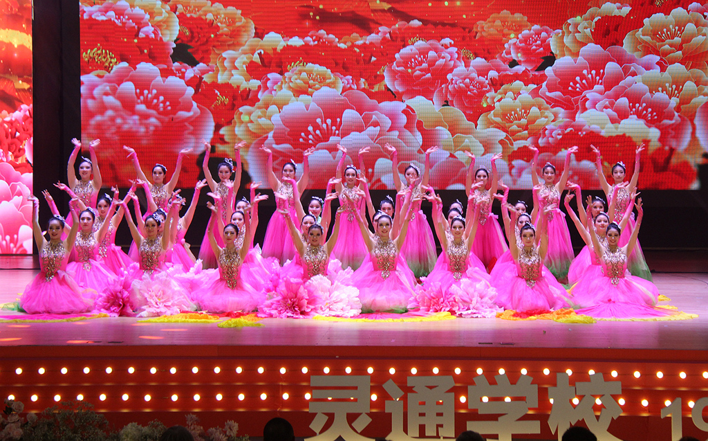 我的灵通,我的家--灵通学校25周年庆典隆重举行(图9) IMG_0207_副本_副本.jpg