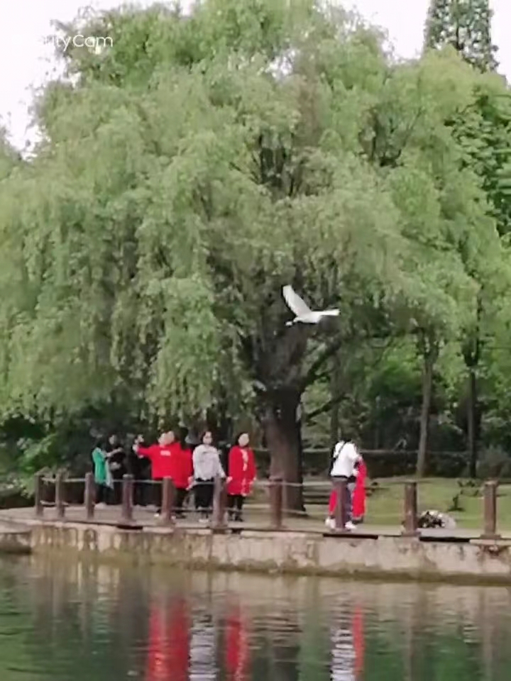 微信图片_20240622223209