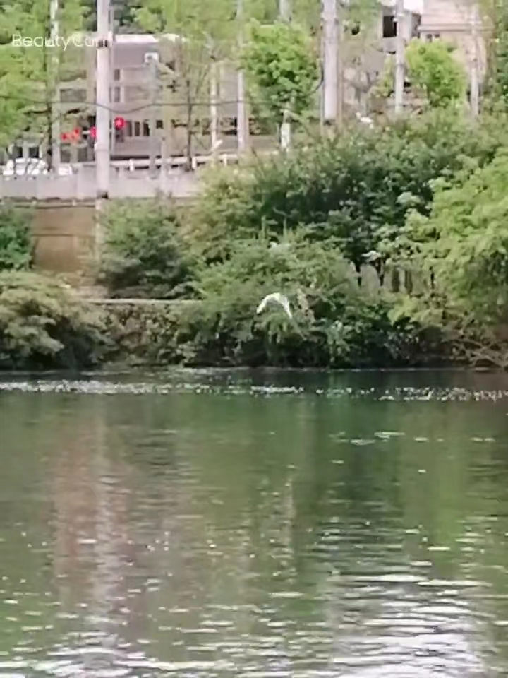 微信图片_20240622223204