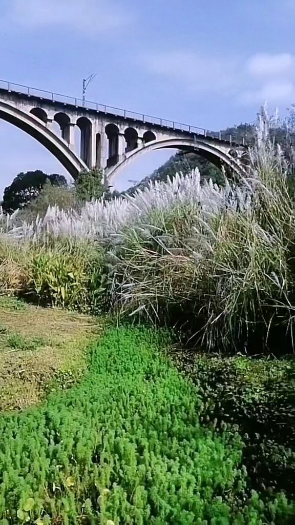 微信图片_20240622223229