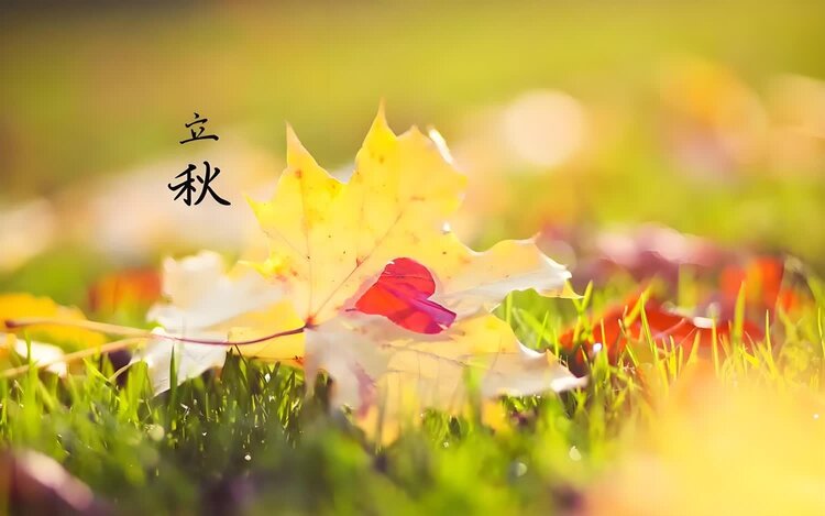 萧锋中醫