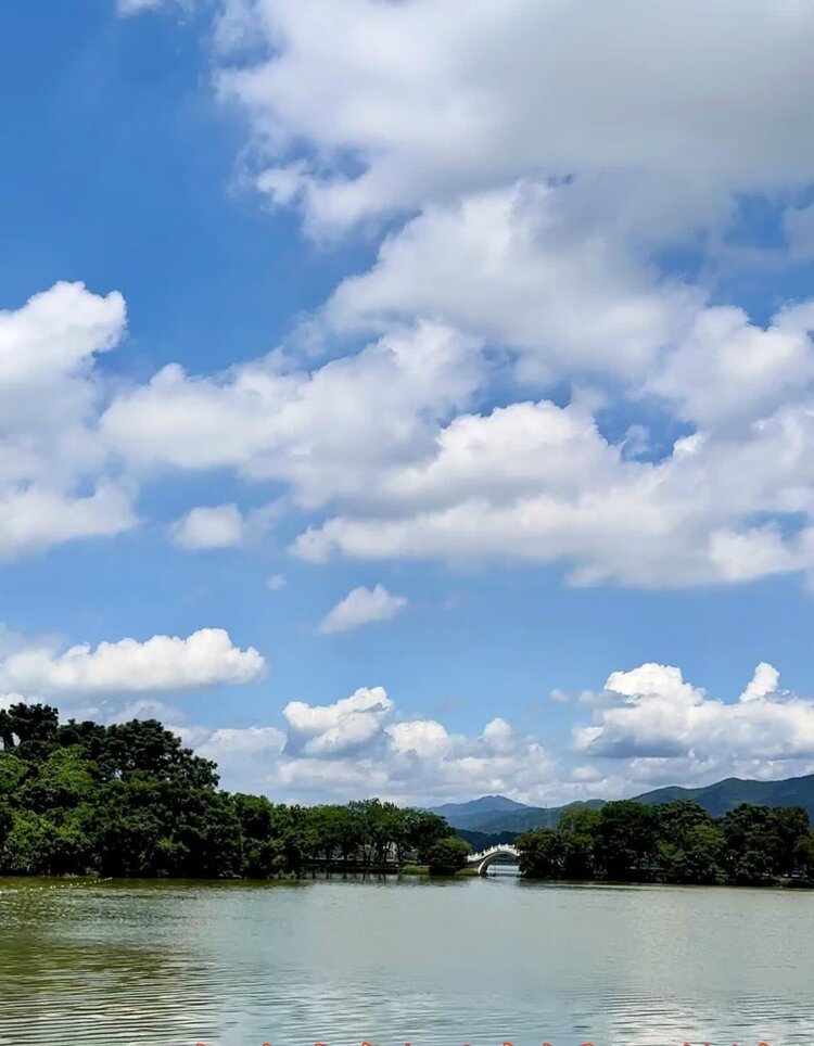 萧锋中醫