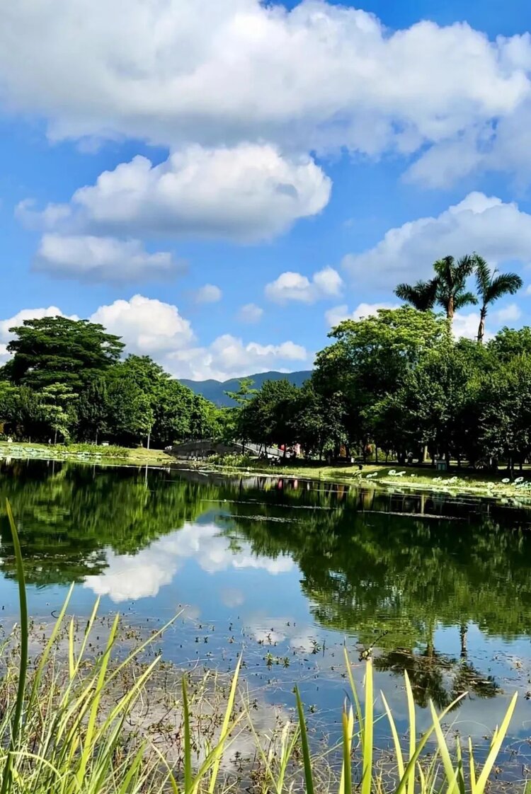 萧锋中醫