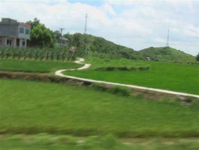 萧锋中醫
