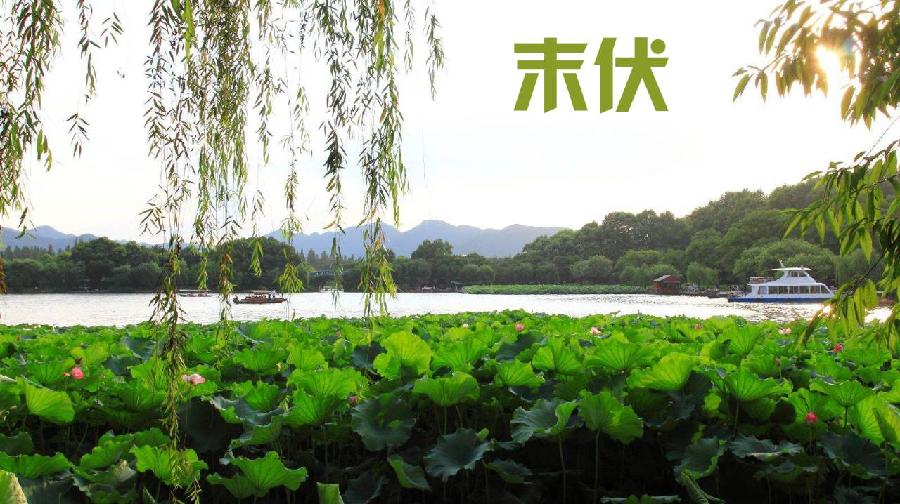 末伏2