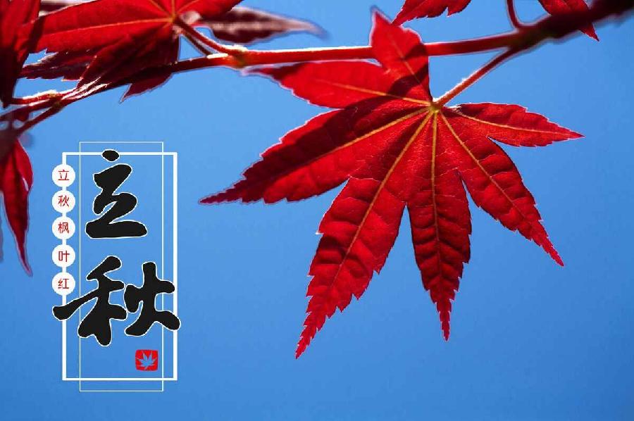 立秋2