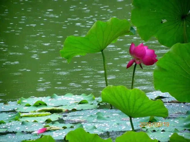 images/2/2024/08/mOqoZnR5xUqG5QaeAExnQNQ3NPQeQr.webp