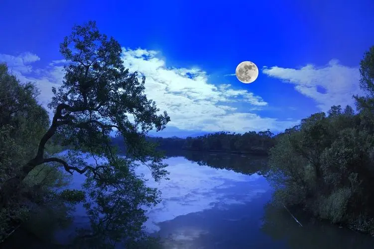 images/2/2024/09/ZeE1zkmscHMOzHxsH0LirqHu1o1euq.webp
