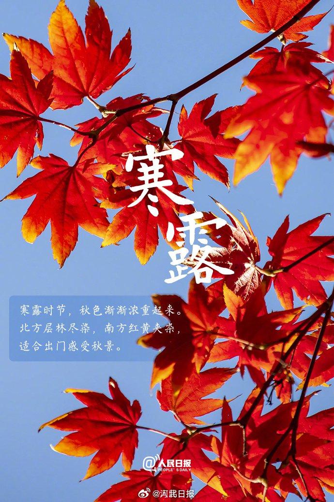 寒露1