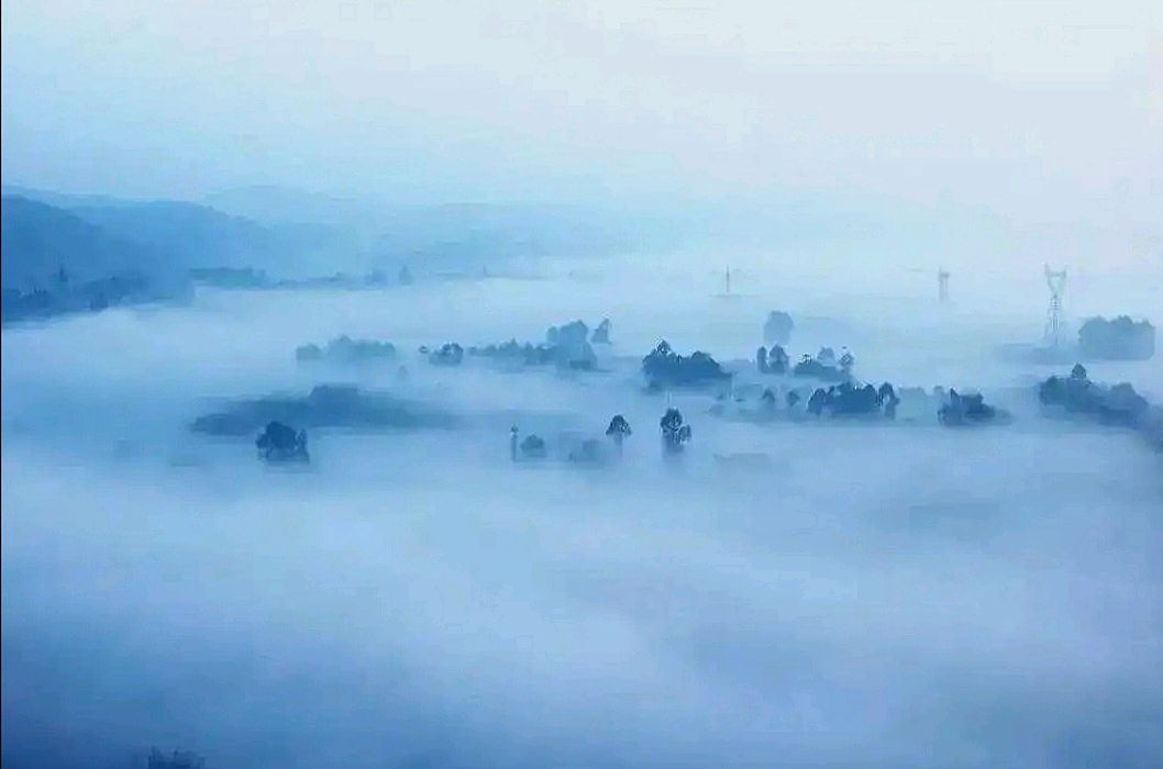 雾晨放鸽 文/诗疯