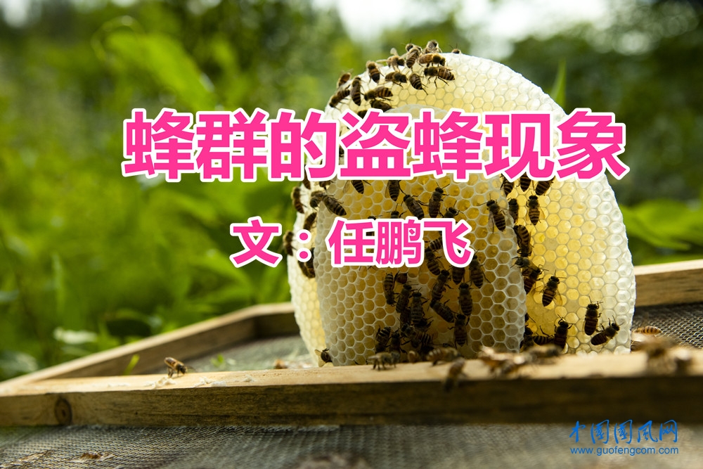 采蜜3_副本.jpg