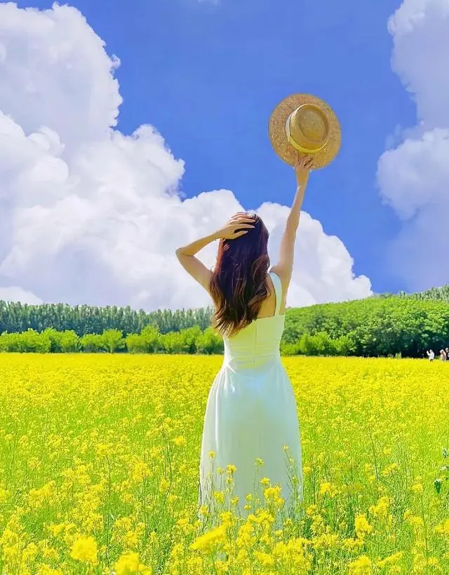 images/2/2024/11/iI2WA91e23ZxITiETmJ792Eiyx9II7.webp