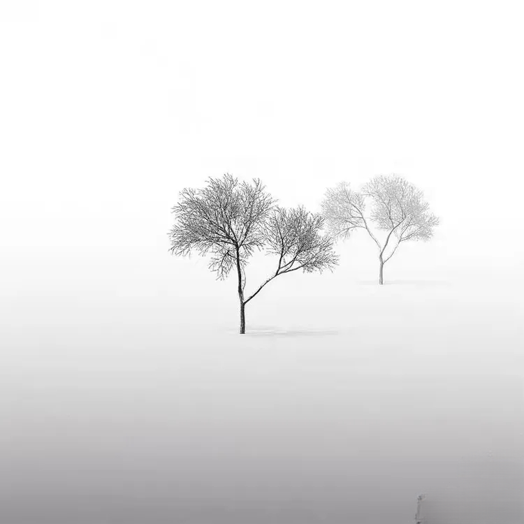 微信图片_20241206172021_美化