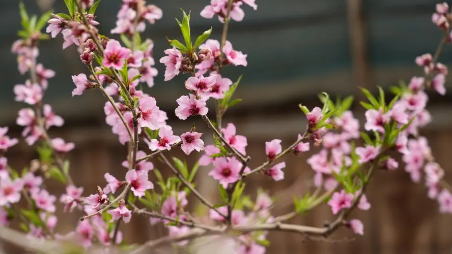 images/2/2024/11/NT8vJcttt2c1CmcsMCtMcRJ6ctv768.webp