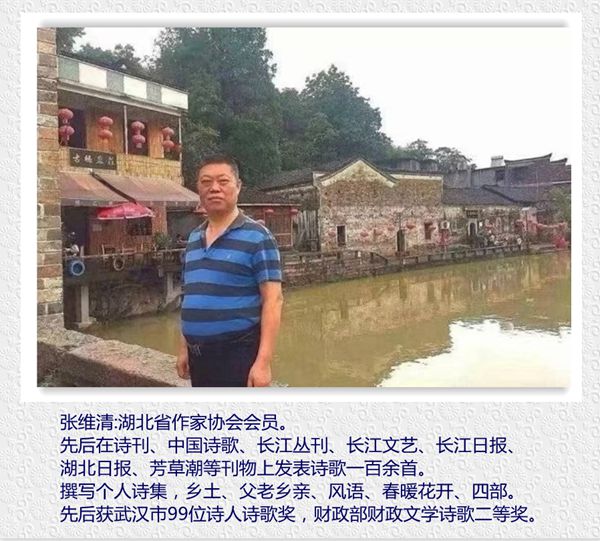 张维清