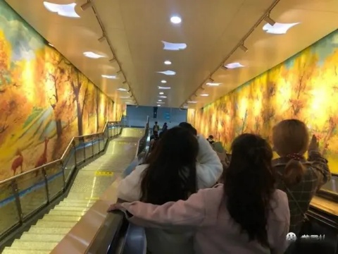 微信图片_20241207110330