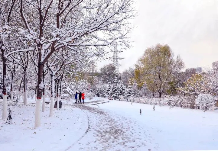 初雪.webp