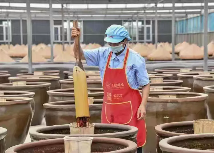 简篇-正信味业:食育公益之路,载誉前行