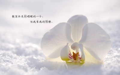 t01788460d54c6892cd