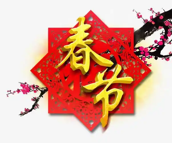 1736895095246.webp