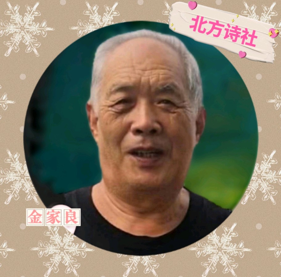 【东林北方诗社】隆重推介金家良《贺新郎·迎春曲七重唱》编辑淘淘//图片淘淘&总第4582期