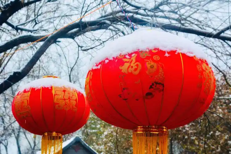 欢度春节        作者:张满海
